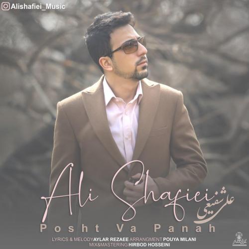 دانلود آهنگ پشت و پناه